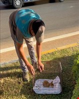 Kaş’ta yaralı bulunan yavru kedi tedaviye alındı